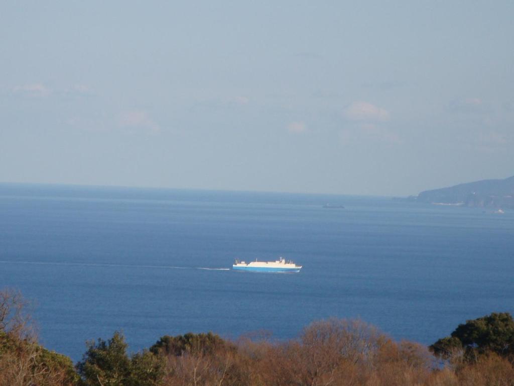 Liberty Hill Ξενοδοχείο Ito  Δωμάτιο φωτογραφία